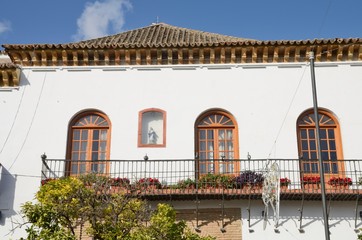 Christmas flowers on balcony in Marbella, Spain