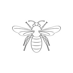 Bee flat icon vector