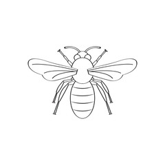 Bee flat icon vector