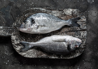 Fresh raw sea crucian dorado on rustic chopping board on dark background, top view