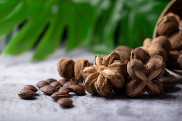 A pile of dried Sacha Inchi nuts. Natural background in lighting studio