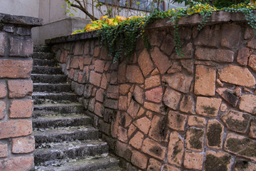 The stairs up. The stone steps. A wall along the steps. Park, city