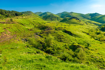 Fototapeta na wymiar Beautiful landscape juicy green gentle mountains and hills in June, sunny Armenia