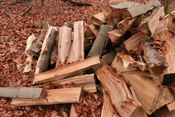 Brennholz