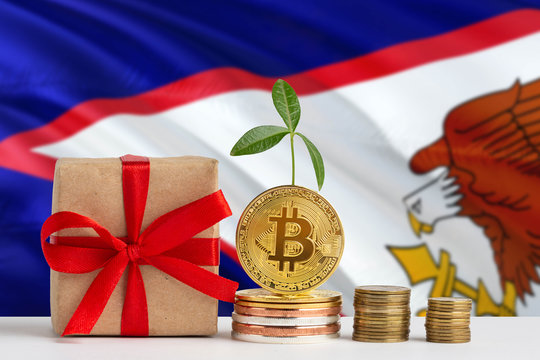 American Samoa investing concept. Golden bitcoin piles next to gift box and green plant. National flag theme about savings with copy space.