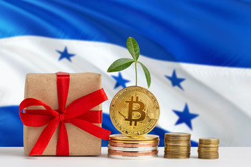 Honduras investing concept. Golden bitcoin piles next to gift box and green plant. National flag theme about savings with copy space.