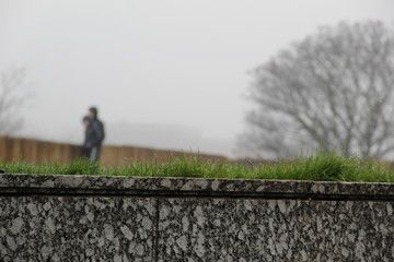 Obraz premium two youths in the fog