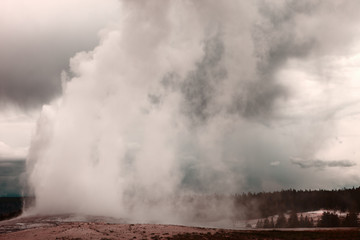Water and steam explosion of the Old Faithful Geyser, Yellowstone National Park, Wyoming, USA