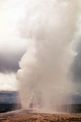 Water and steam explosion of the Old Faithful Geyser, Yellowstone National Park, Wyoming, USA