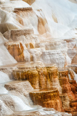 Minerva Terrace at Mammoth Hot Springs, in Yellowstone National Park