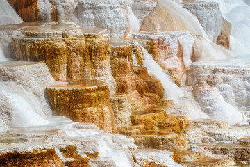 Minerva Terrace at Mammoth Hot Springs, in Yellowstone National Park