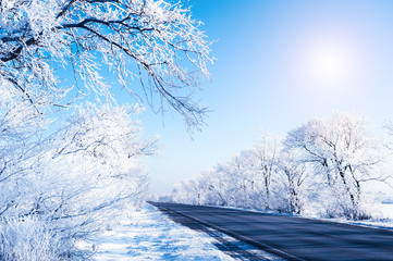 Winter road with snow-covered trees and blue sky. Beautiful winter landscape.