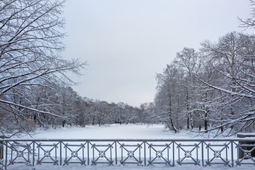 beautiful winter park in the snow, a fence in the foreground, landscape, a winter fairy tale