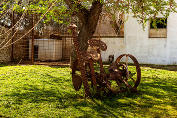 vecchio aratro sotto un albero in campagna