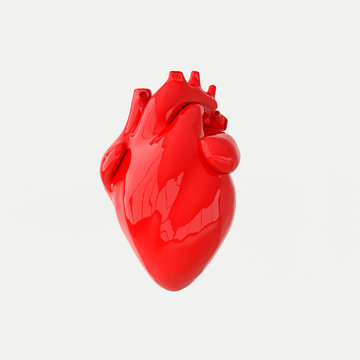 Realistic human heart organ with arteries and aorta 3d rendering. Happy Valentines Day greeting card. Romantic background. Red ceramic heart