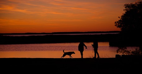 Sunset over Assateague Island over marshes, salt water bay with silhouette