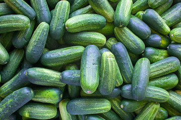 Small cucumbers