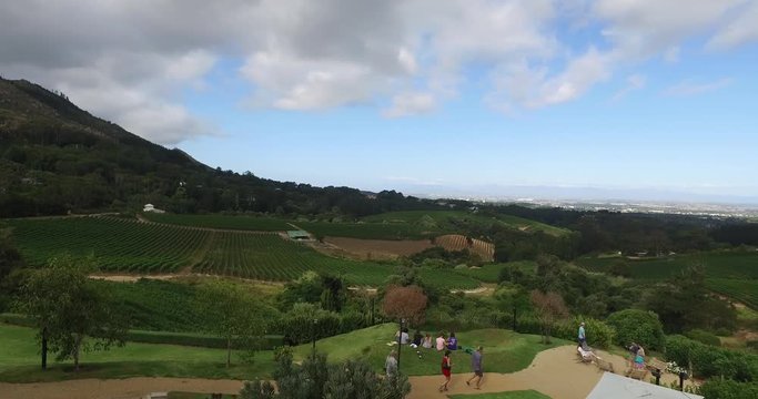 beautiful wine fields in capetown