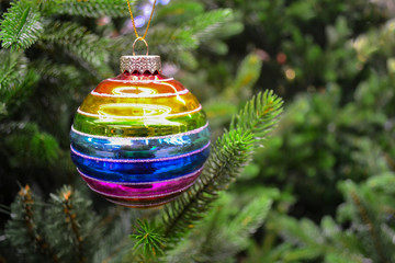 Close up of a bright glass rainbow colored Christmas ball, bauble hanging on a green artificial christmas tree. Copy space. The concept of the holiday, Christmas, symbol of the rainbow