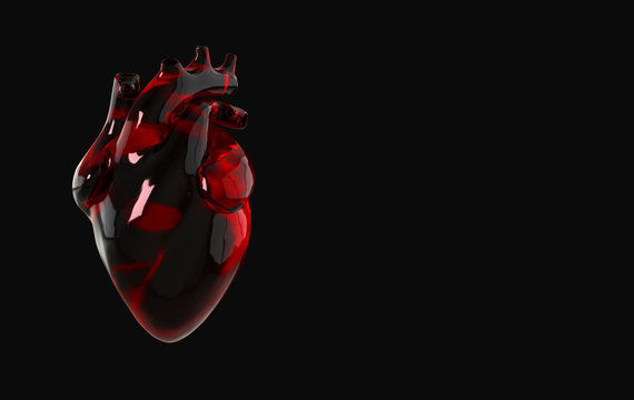 Realistic human heart organ with arteries and aorta 3d rendering. Happy Valentines Day greeting card. Romantic background. Red transparent glass heart
