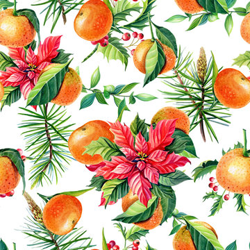 Christmas watercolor seamless pattern.Red poinsettia flowers,tangerineHolly, leaves,berries,pine,spruce,green twigs on white background.