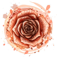 The Rose. Artistic, hand-drawn, color image of a rose flower on a white background in a watercolor style.