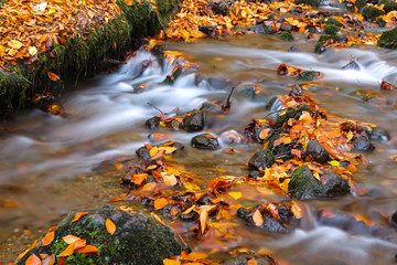 Waterfall in Yedigoller National Park, Bolu, Turkey