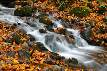 Fototapeta na wymiar Waterfall in Yedigoller National Park, Bolu, Turkey