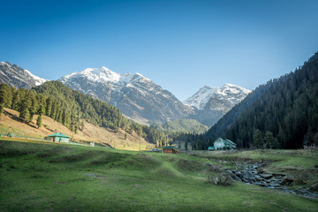 Fototapeta na wymiar Aru valley, Jammu and Kashmir, India
