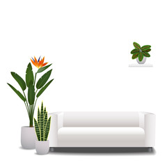 White sofa and house plant