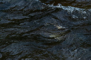moving water surface texture in dark blue