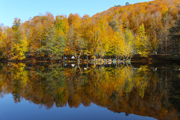 Buyuk Lake in Yedigoller National Park, Bolu, Turkey