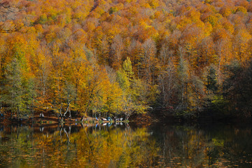 Buyuk Lake in Yedigoller National Park, Bolu, Turkey