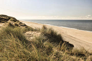 The Red Cliff near Kampen, Sylt, Germany, Europe