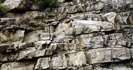 Rocky mountain texture