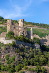 Fototapeta premium Ehrenfels Castle ruins on the Rhine River
