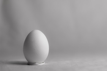 egg on white background