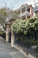 Fototapeta na wymiar white flower covered wrought iron fence bordered by sidewalk