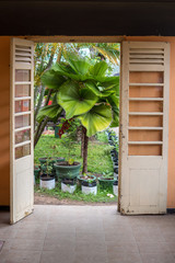 Open doors to tropics, Sri lanka