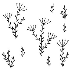 simple drawings of flowers, twigs, leaves, Doodle, 