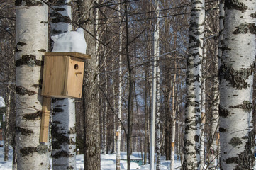 birdhouse on a tree