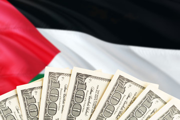 Palestine economy concept. Dollar banknotes on the side of national flag with waving background....