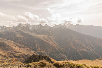 Mountain scenery Dolomites with grass and trees