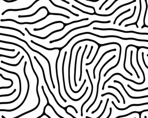 Full seamless wallpaper for zebra and tiger stripes animal skin pattern. Black and white design for textile fabric printing. Fashionable and home design fit.