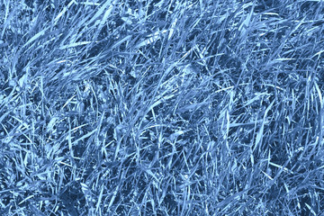 Texture of classic blue color grass for background or backdrop. Monochrome grass background texture. Element of design. Trendy colour 2020.