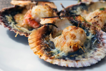 Baked scallops with cheese and spicy sauce. Delicate clam is a real pleasure. Romantic dinner at a Spanish fish restaurant. Mallorca Island, Spain.