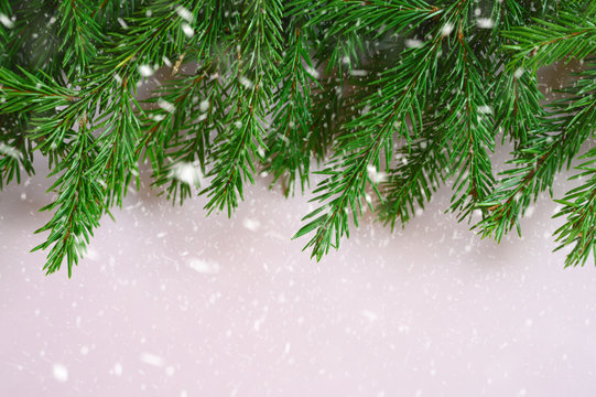 christmas tree branches frame on a white background. falling snow. space for text © Ksenia