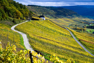Kirche in herbstlichen Weinbergen
