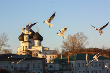 Birds flew on the melting river