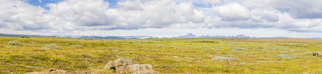 Panoramic view about wide southern Iceland veld in summer